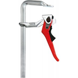 Bessey_gh12.jpg